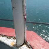 GHLights-repair-24